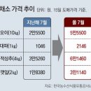 그냥 심심해서요. (16077) 오이-대파값 작년의 2배 이미지