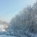 덕다운 무릎담요 동계캠핑시 유용한 위오 프리미엄 캠핑블랑켓