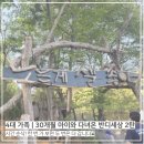 진우약품(주) | 4대 가족 | 30개월 아이와 다녀온 인천 도림동 반디세상 찐후기 2탄 🎠 놀이기구부터 확장된 모래놀이까지