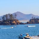 쥐똥섬펜션 이미지