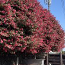 형제목장 이미지