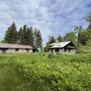 Good Forest 이미지