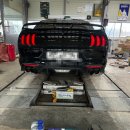 시스템 게러지 | [일산 H 게러지] 포드 머스탱 GT 5.0 브레이크 성능 업그레이드 페로도 DS2500 브레이크패드 + 리어...