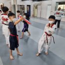 JF태권도 이미지