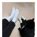 구들짱 이미지