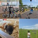 안성 아이와 가볼만한곳 안성팜랜드 지도 승마 식당 카페