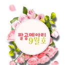 01-9 동구 이미지