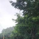 용인시농업기술센터 | 용인시농업기술센터에서 무료 컴퓨터교육