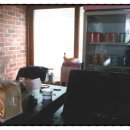 뿌리게스트하우스 이미지