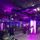 짐퍼스트 동작점 이미지