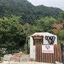 왕피천하늘담 | 여름은 계곡캠핑이지! 울진왕피천하늘담캠핑장 후기