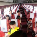 정동진놀자 이미지