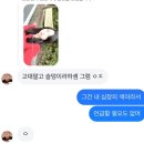 상송슈퍼 | 霜松常靑