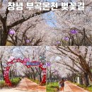 부곡 119 안전센터 | 창녕 부곡온천 벚꽃길 지금 가볼만한곳 걷기 좋은 길 추천