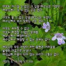 요한계시록 20장 천년왕국의 비밀, 모든 것이 이렇게 풀어지리니... 이미지