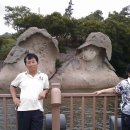 래용 이미지