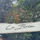 라브리사 | 발리 짱구 비치클럽 추천 라브리사 솔직후기 ｜여유롭게 즐기기 좋은 비치클럽