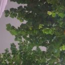 (주)다진심 이미지