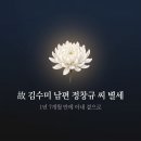 정명호 | 故김수미 남편 정창규 씨 별세, 오늘 발인…아내 곁으로 돌아간 50여 년