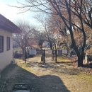 온새네 간식점 이미지