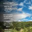 무지개동산 티스토리