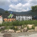 개운로R 이미지