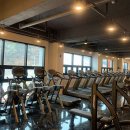 고고PT & 헬스 이미지