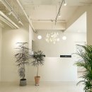 강남숲정신건강의학과의원 이미지