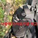동행상조