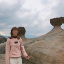 이지글로벌 | 대만 이지카드 | MRT 교통카드 디자인 구입 사용 방법 총정리