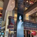 성악공연(봄이오는소리) | [뮤지컬] 팬텀 10주년 공연 전동석 관람후기 VIP석 D구역 7열 (20250606 전동석, 장혜린, 홍경수, 윤사봉)