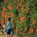 뚝섬한강공원-27 이미지