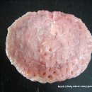 아찌돈까스 이미지