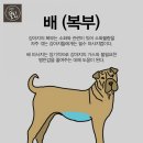 도긴더샵 이미지