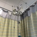 제부로 1L 이미지