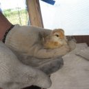 세심 이미지