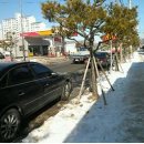 붕붕오리나라 이미지