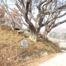 가락4리 | 소이면 충도리 주머니골농원