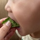 목포 하당 평화광장 대패삼겹 맛집 대패생각 [내돈내산]