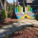 시청 앞 버스정류장 이미지