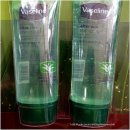 바세린 애프터 선 알로에 베라 젤 110g * 2/after sun aloe vera gel/바세린/Vaseline/코스트코 아울렛/오명품아울렛 이미지