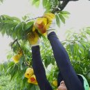 원호농장 이미지