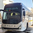 (주)영진고속관광 이미지