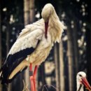 가족쉼터 이미지