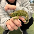 부원농장 | 경남김해 아이랑 실내 가볼만한 곳 열대우림 체험농장