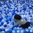 산본어린이집 | 산본 챔피언 키즈카페 4살 아이랑 다녀온 솔직후기 (KT 멤버십 무료 이용!)