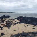 송종선가옥 이미지