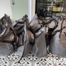 워시앤폴드 이미지