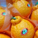 민우네농장 이미지