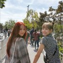 아이리사 이미지